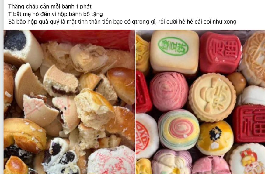 edit-untitled-design-1-1767518454541784137523