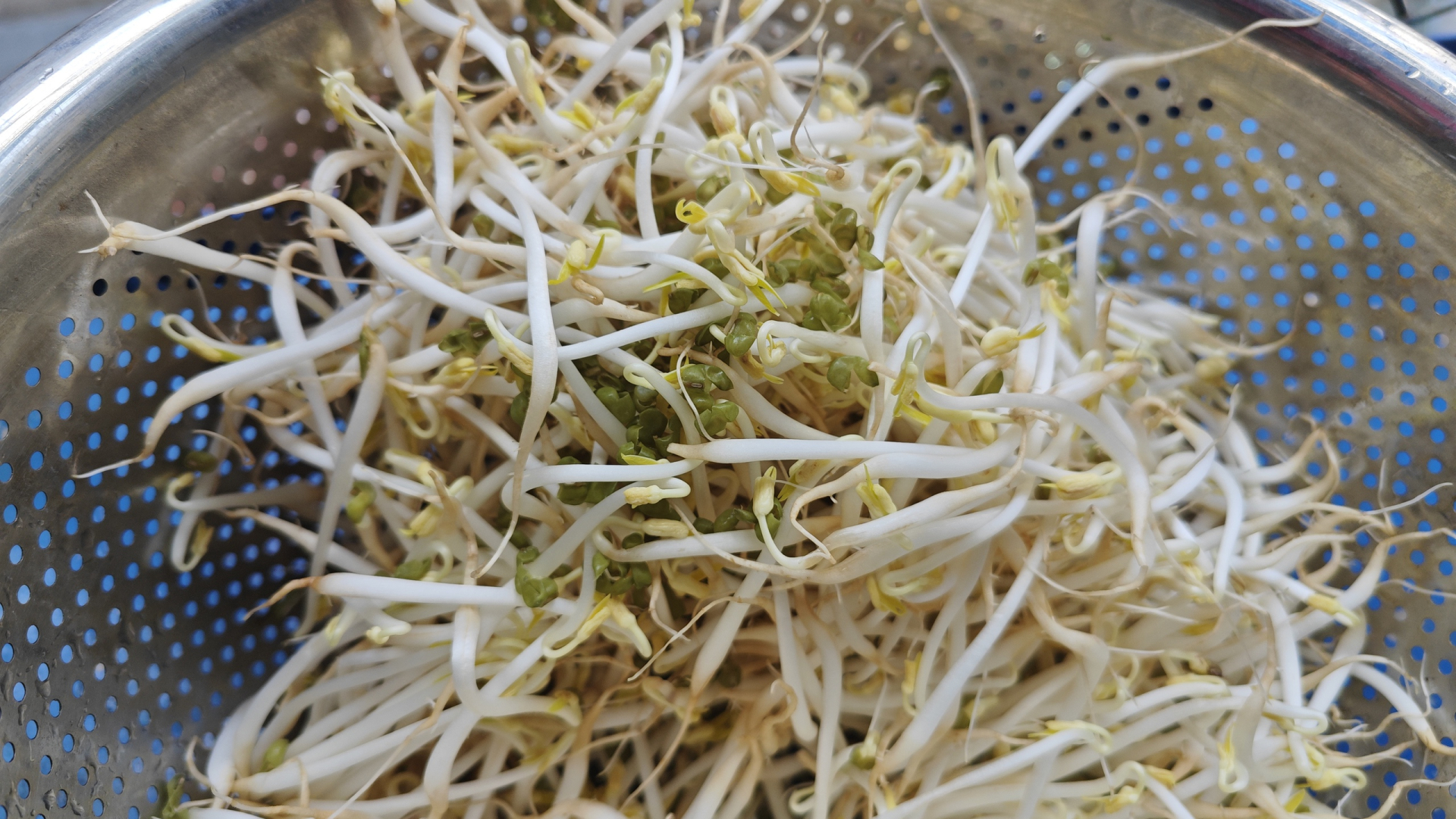 Viet-nam-co-loai-rau-trang-non-gion-ngot-la-vua-protein-tot-cho-tim-mach-tang-cuong-sinh-ly-anh1