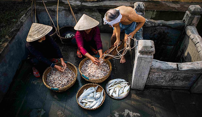 lang-nghe-nuoc-mam-nam-o-1728412594