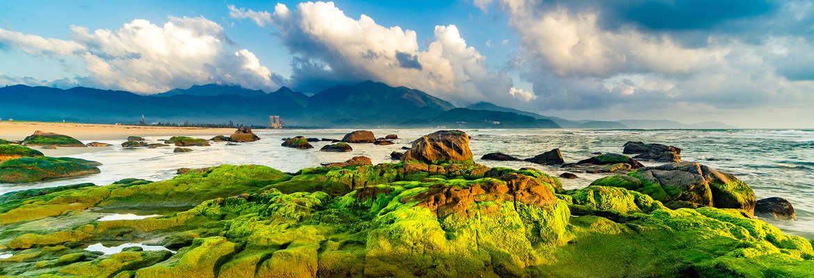 ran-nam-o-thien-duong-duoc-tao-nen-tu-da-5-1636363777