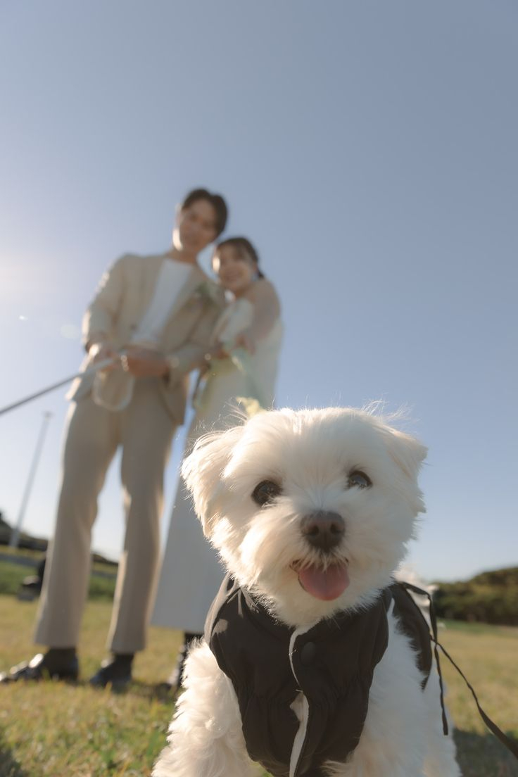 a0fa1888c8a240407c93f87ed0aa7106