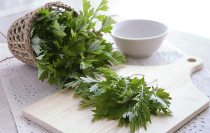 Việt Nam sở hữu loại rau