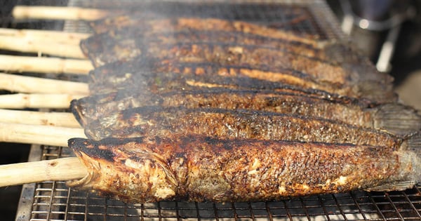 2 loại cá siêu tàn phá mô gan, gây ung thư bậc nhất: Đến dân buôn cũng ngại ăn