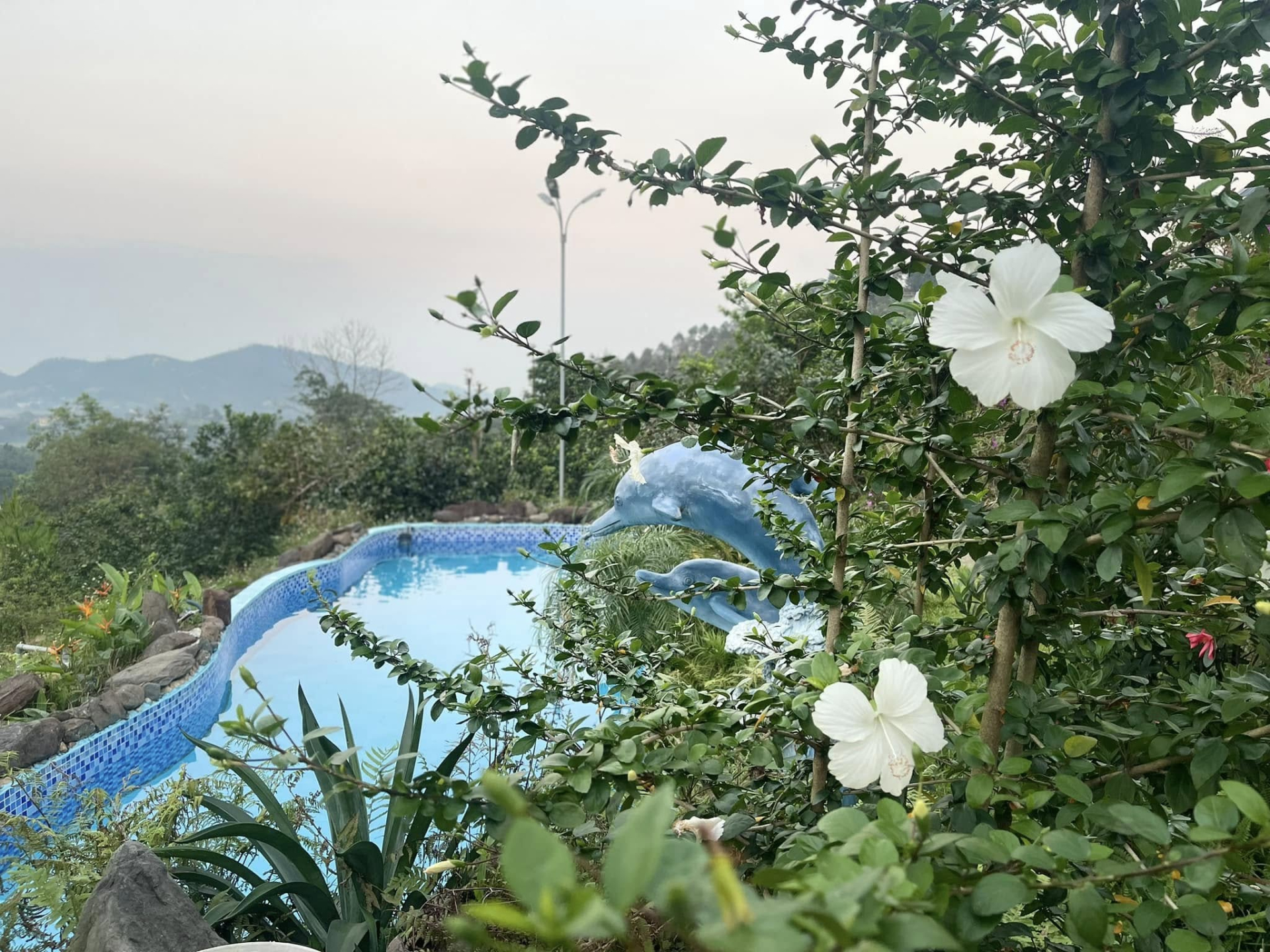 Cơ ngơi 10.000m2 của “ông hoàng nhạc đỏ” lẻ bóng ở tuổi U60