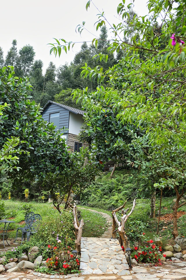 Hình ảnh NSƯT Việt Hoàn chia sẻ về cơ ngơi 10.000m2