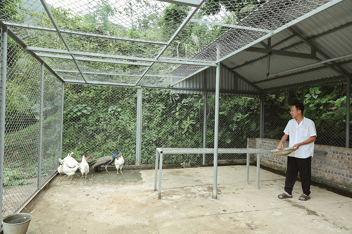 Cơ ngơi 10.000m2 của “ông hoàng nhạc đỏ” lẻ bóng ở tuổi U60