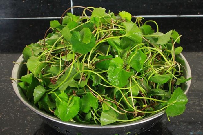 5 loại rau sống dễ “ôm ổ ký sinh trùng”, hay ăn lẩu và gỏi càng nguy hiểm