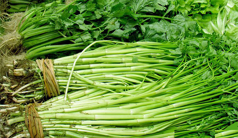 5 loại rau sống dễ “ôm ổ ký sinh trùng”, hay ăn lẩu và gỏi càng nguy hiểm