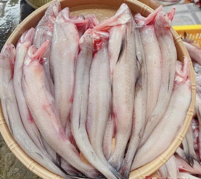 Loại cá thịt mềm như cháo, gặp nước là tan, người sành ăn nhìn thấy thì mua vội