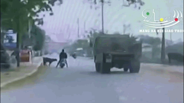 Tài xế phanh cháy lốp do nam thanh niên ngã trước đầu xe