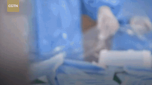 Cận cảnh máy sản xuất khẩu trang nhanh nhất thế giới, 1.000 sản phẩm/phút