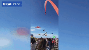 Đi xem thả diều, bé gái 3 tuổi bị diều kéo lên không trung