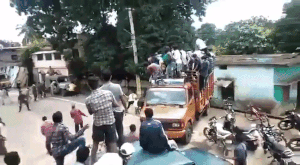 Gấu đen xổng chuồng tấn công hàng trăm người