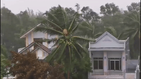 Bão số 9 gây gió to, mưa lớn tại các tỉnh miền Trung