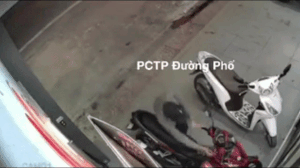 Trộm táo tợn bẻ khóa, 'cuỗm' xe máy nhanh như chớp ở Sài Gòn