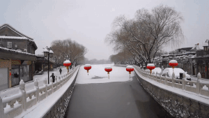 Tuyết rơi bất thường ở Bắc Kinh trong bối cảnh dịch coronavirus