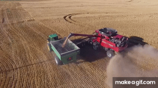 Cuộc chiến ở Ukraina sẽ tạo ra ‘cơn bão đói’ khắp châu Phi