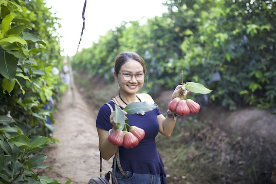 Mô hình tham quan khu du lịch sinh thái và trải nghiệm quy trình sản xuất sạch hiện đang được triển khai