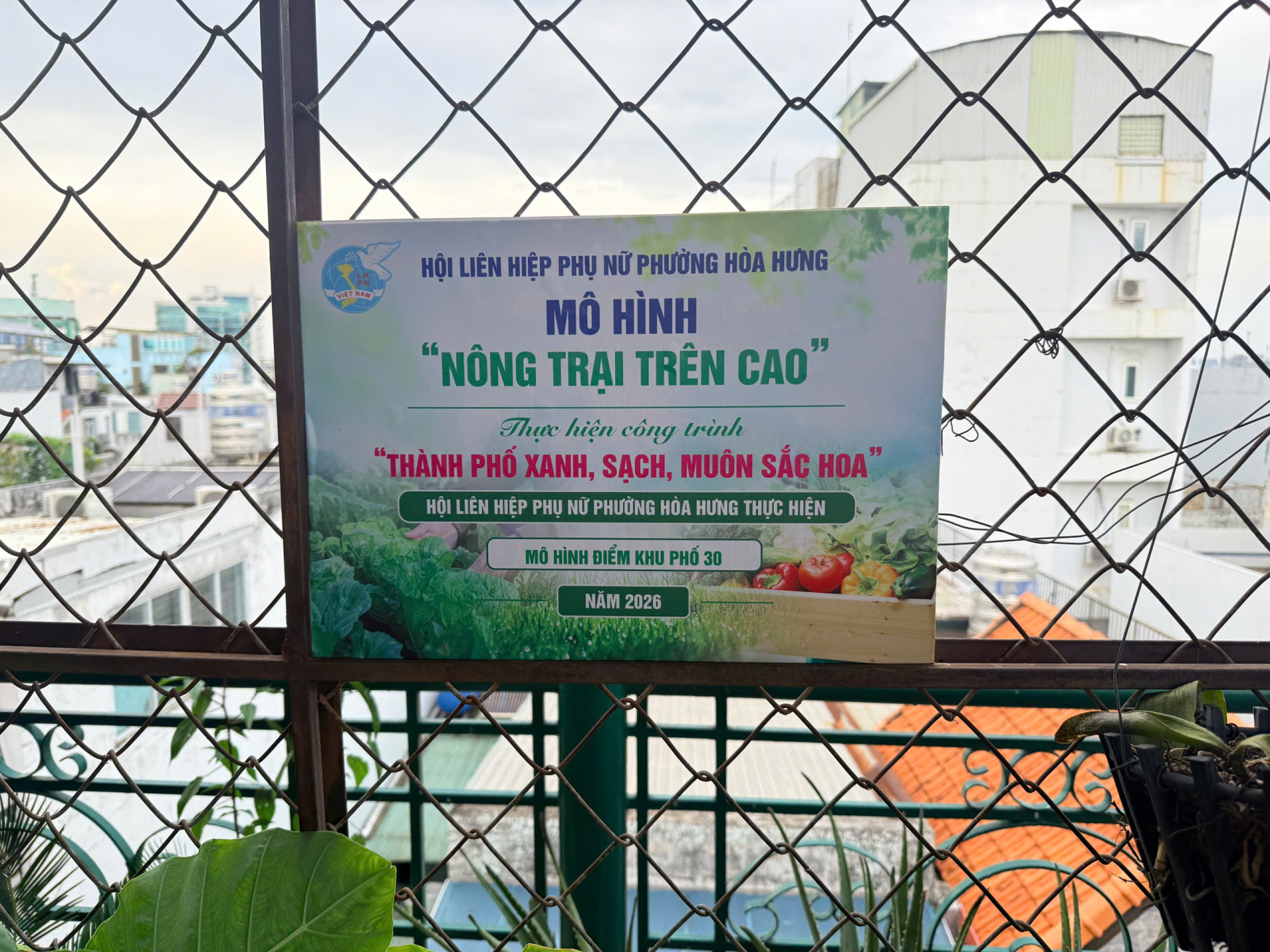 Những mảng xanh trên cao từ các sân thượng gia đình