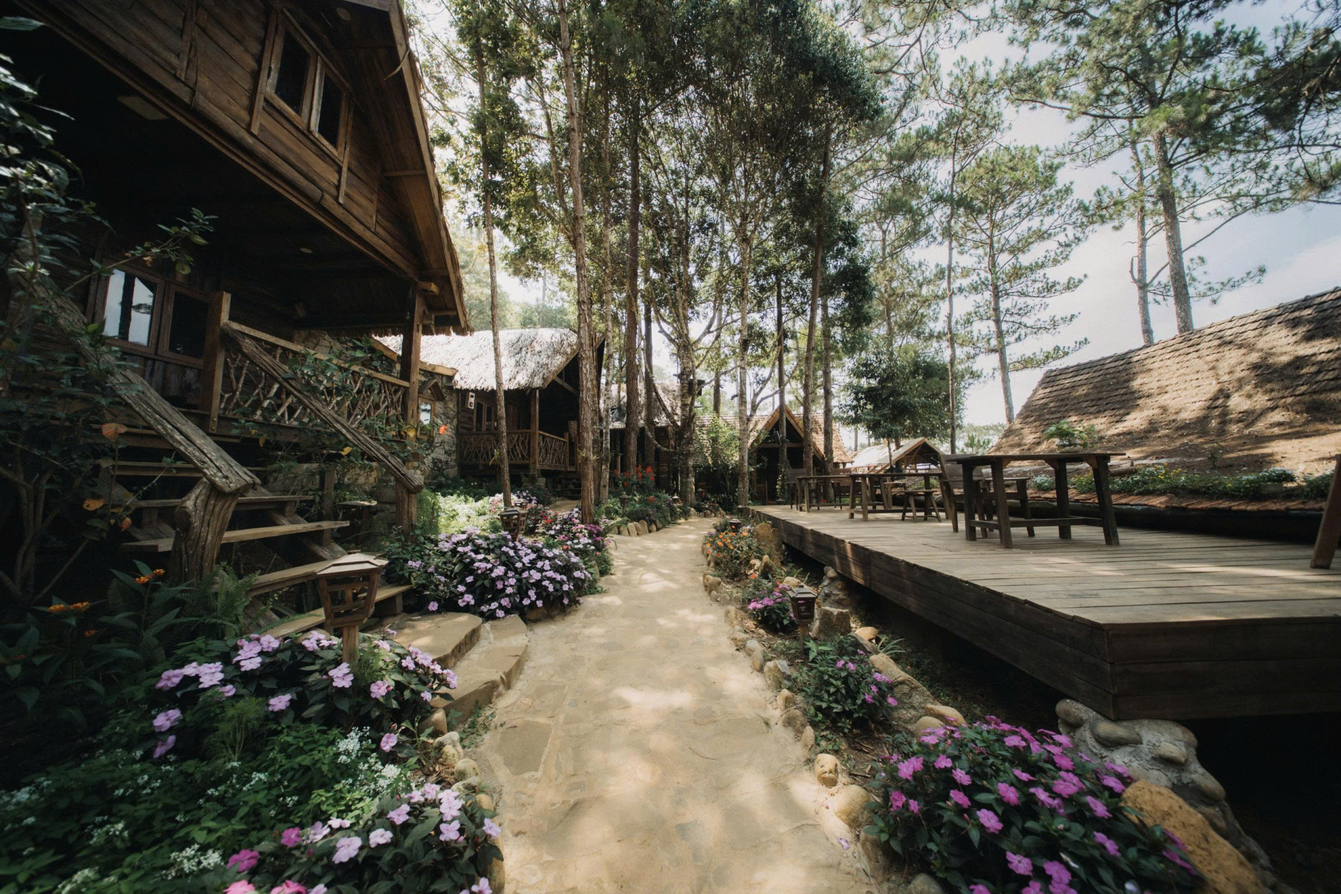 Sóc House bình yên dưới những tán thông già
