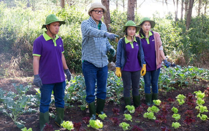 Việt Nam sở hữu lợi thế nền nông nghiệp có thể gia nhập thị trường đạm thực vật. 