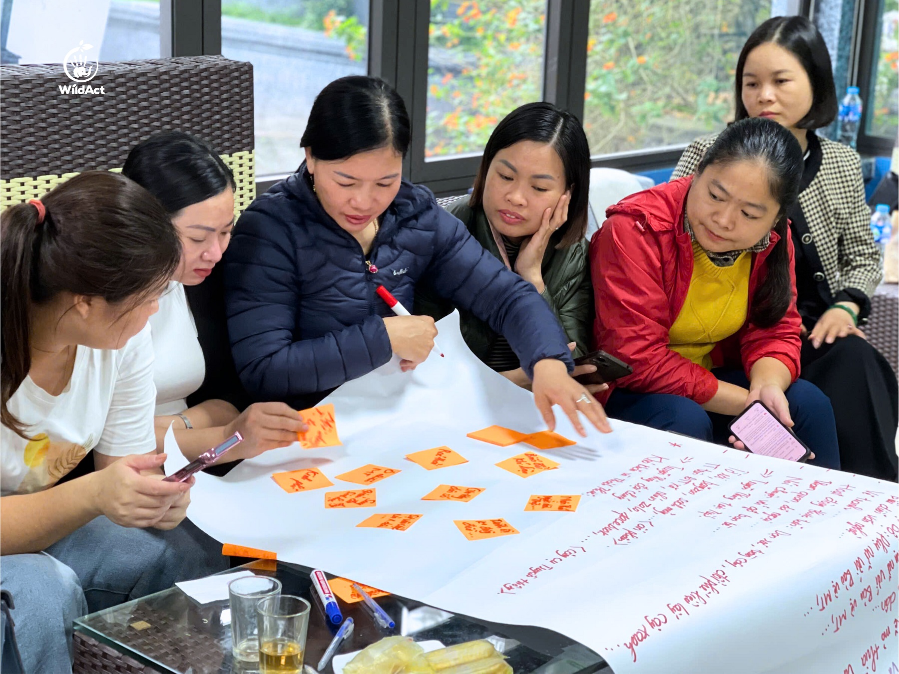 Nhiều sáng kiến bảo vệ các loài chim thiên nhiên.