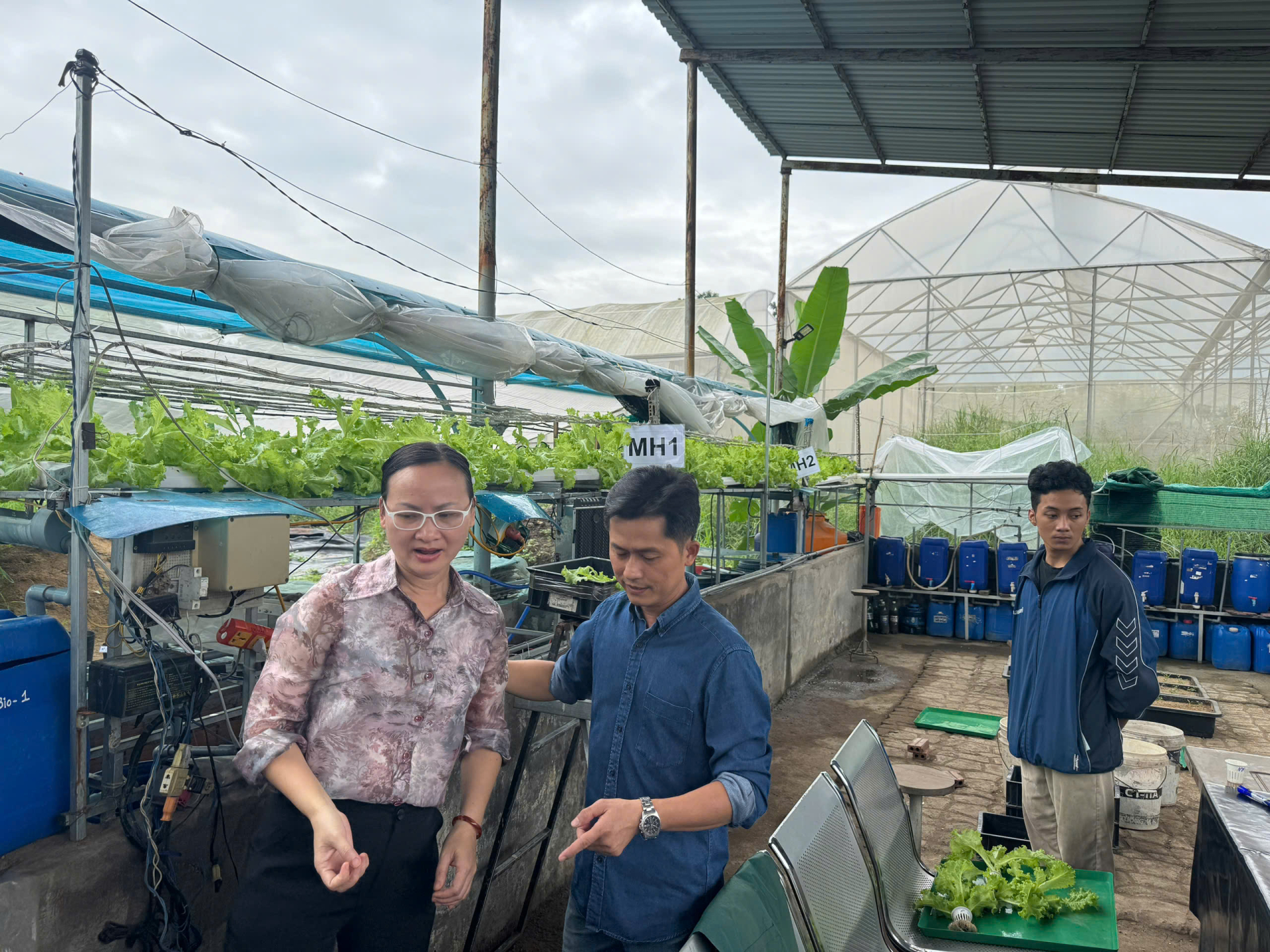 Thạc sĩ hóa học Nguyễn Thị Quỳnh Viên tại vườn ươm. 