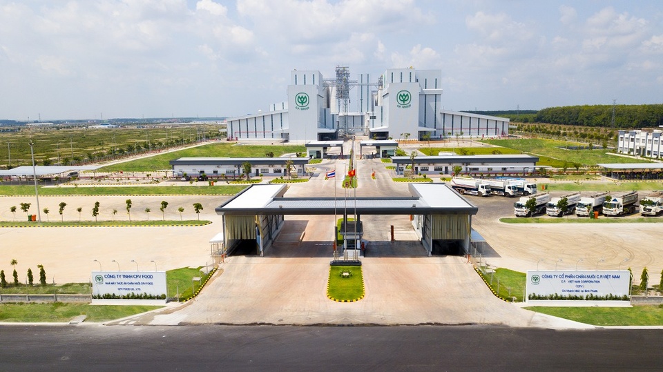 C.P. Việt Nam đã phát triển thành doanh nghiệp đầu ngành, chiếm thị phần lớn ở cả 3 mảng thức ăn chăn nuôi, trang trại và chế biến thực phẩm.