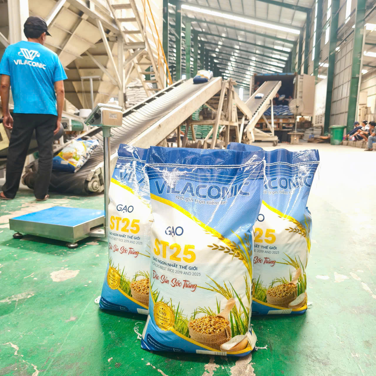 Thương hiệu gạo ST25 Vilaconic tại nhà máy sản xuất: Ảnh Vilaconic cung cấp. 