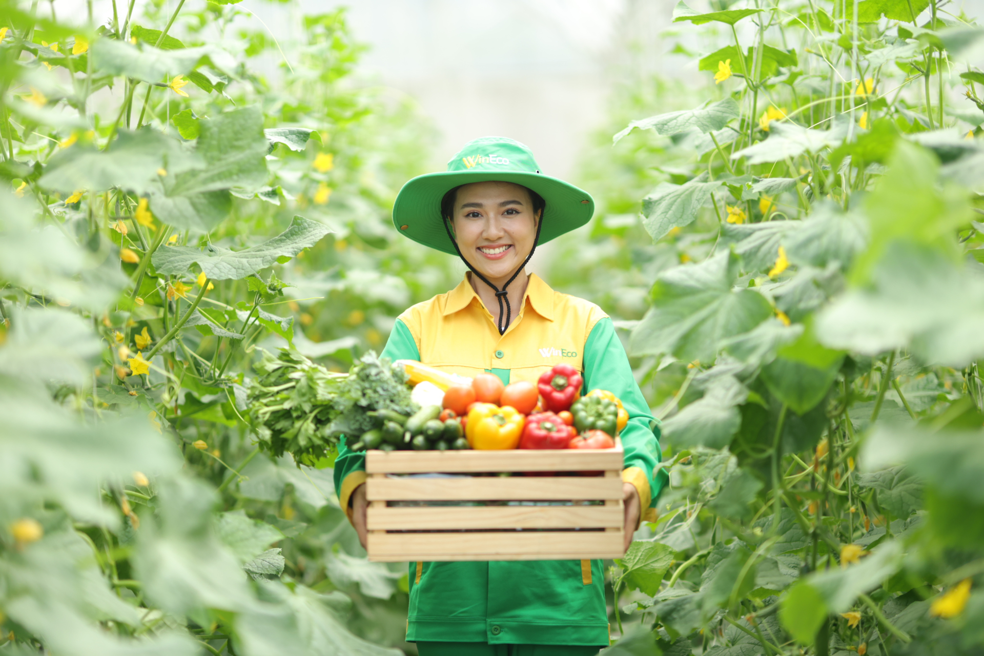 Nông trường công nghệ cao WinEco. 