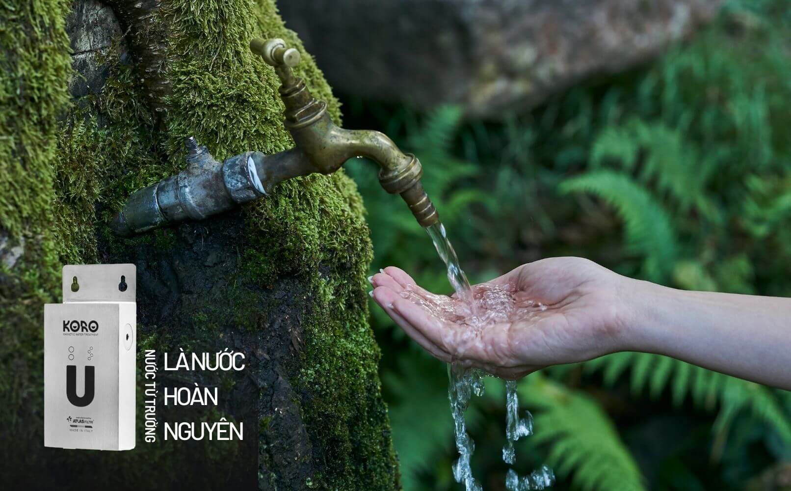 Nước từ trường hoàn nguyên kỳ vọng sẽ mở ra sức khở người tiểu đường. 