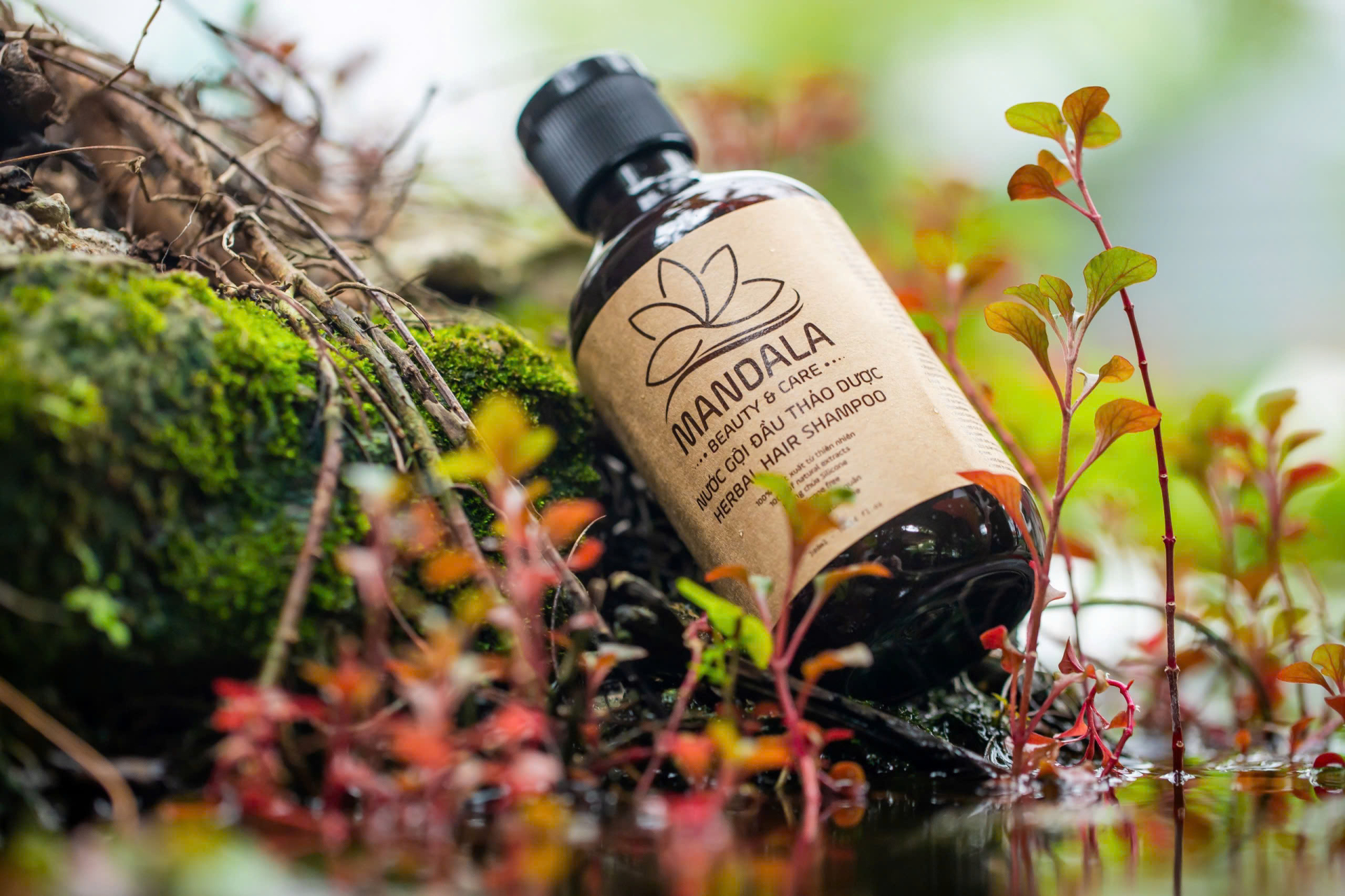 Sản phẩm dầu gội lên men với công thức độc quyền. 