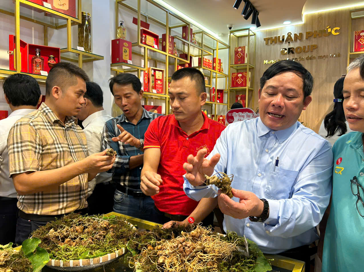 Ông Nguyễn Văn Lượng (thứ hai bìa phải) đang giới thiệu cách phân biệt sâm Ngọc Linh đến người tiêu dùng tại TP.HCM.