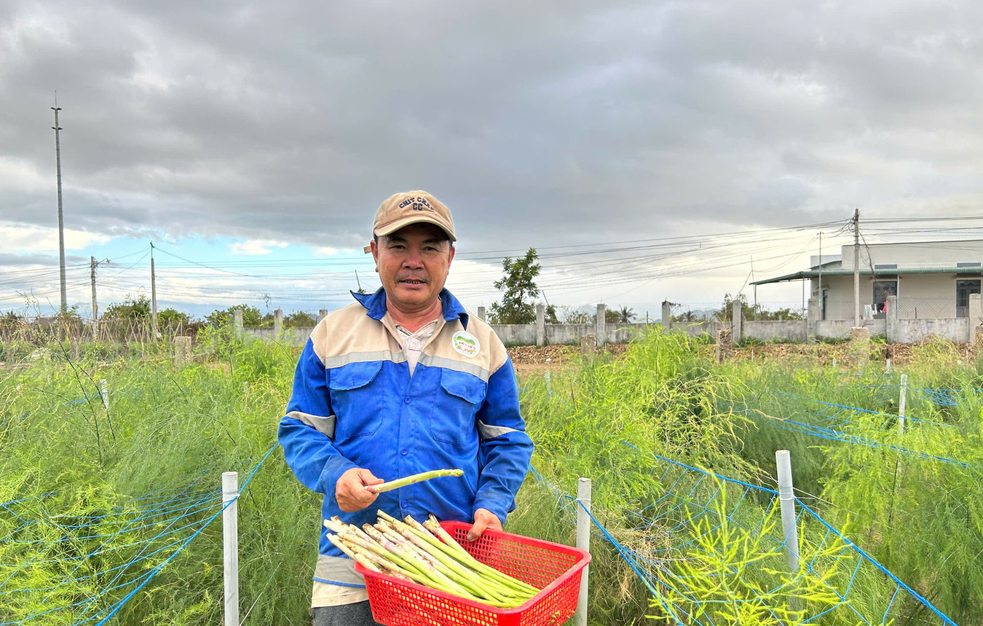 Ông Hùng Ky, người tiên phong trồng măng tây trên vùng đất cát Ninh Thuận. Ảnh: Cẩm Viên.