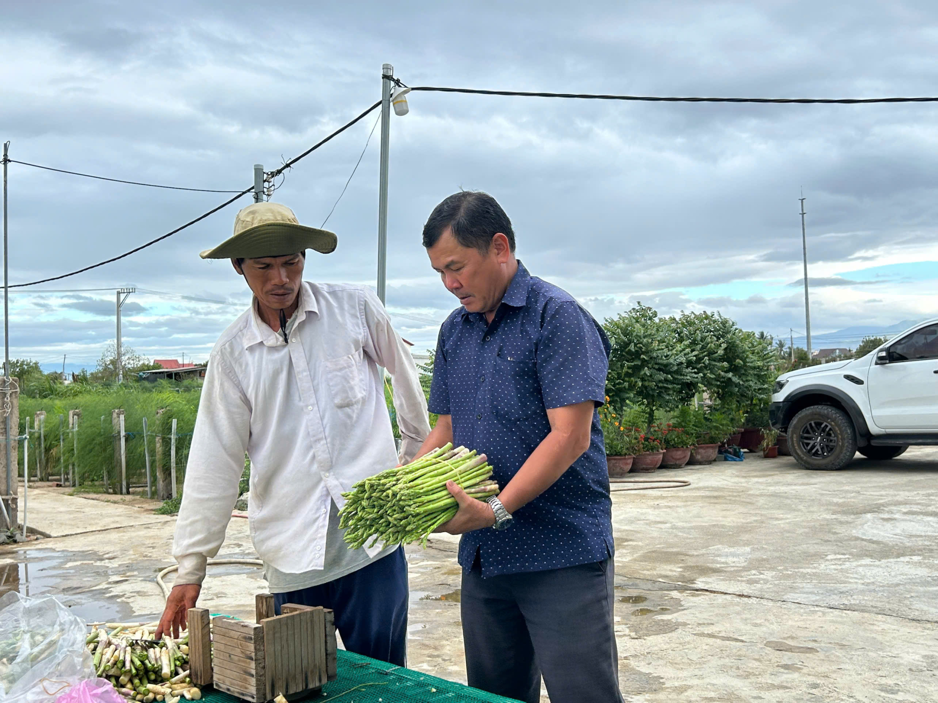 Đời sống người dân thay đổi nhờ cây măng tây.