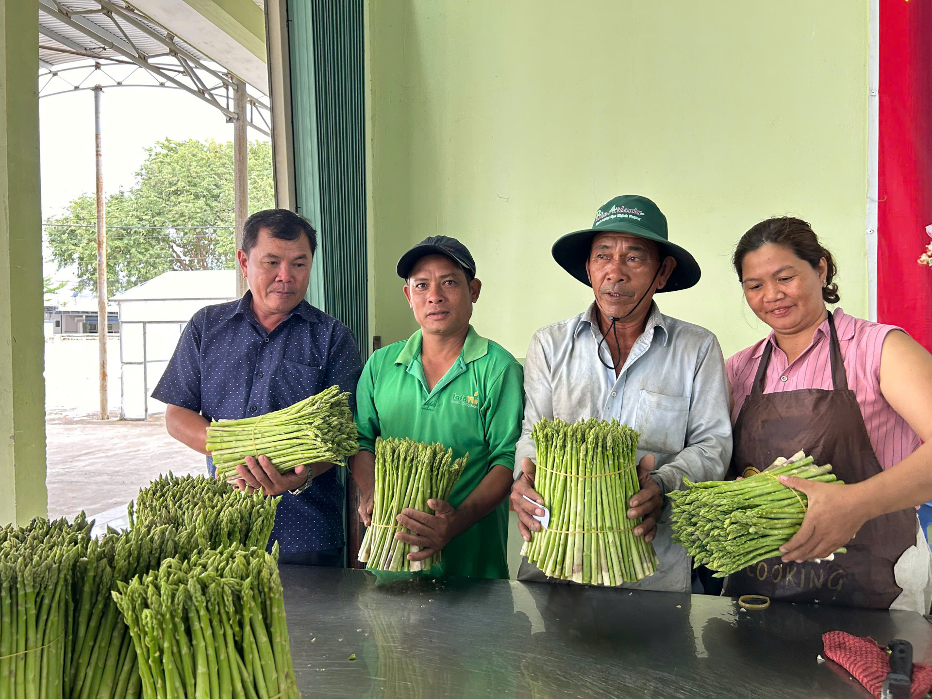 Người dân mang măng tây đến hợp tác xã.