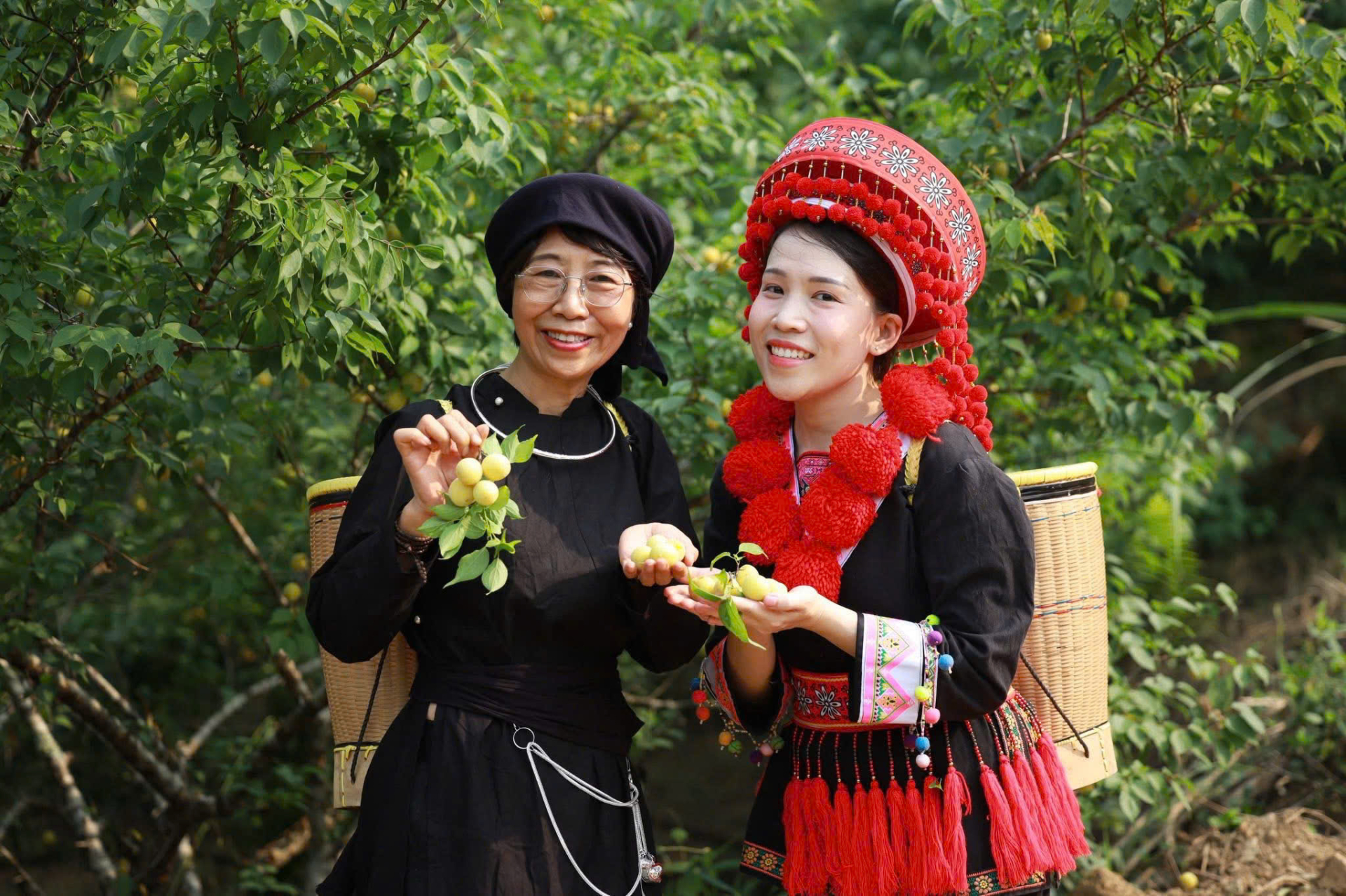 Doanh nhân Lê Thị Ngân đang ấp ủ dự án phát triển sản phẩm mật mơ rừng tìm đầu ra cho bà con miền núi. 