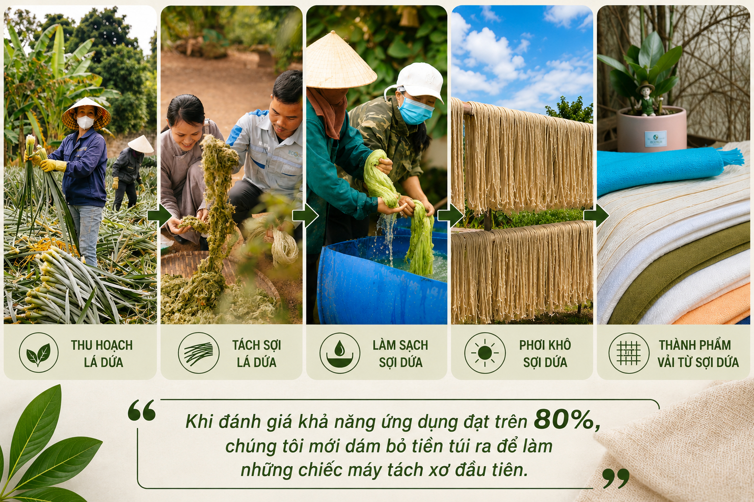 Hành trình biến lá dứa thành sợi sinh học của nữ giảng viên Việt