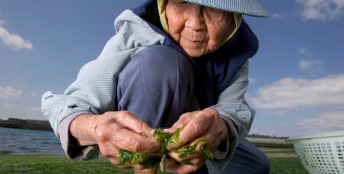 Người dân Okinawa có tuổi thọ cao đến mức ngạc nhiên.