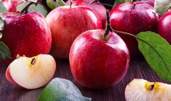Ăn táo vào buổi tối sẽ không gây hại cho cơ thể, thậm chí có thể mang lại những lợi ích nhất định. Ảnh minh họa