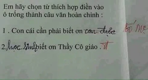 Học sinh đặt câu với từ phức khiến cô giáo tá hỏa: Mới chút tuổi mà đã triết lý thế này!