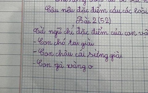 Học sinh đặt câu với từ phức khiến cô giáo tá hỏa: Mới chút tuổi mà đã triết lý thế này!