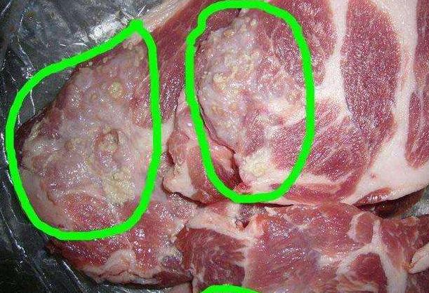 Đi chợ Tết đừng mua thịt, nội tạng động vật có dấu hiệu này vì dễ mua phải hàng đông lạnh ôi thiu, chứa 