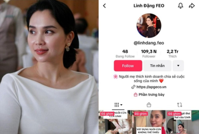 Kênh TikTok của phú bà Linh Đặng sở hữu hơn 2 triệu lượt thích