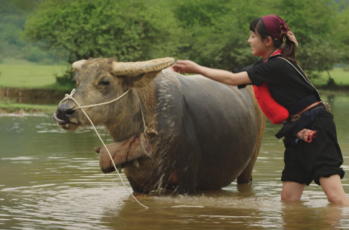 Nhan sắc trong veo như Lưu Diệc Phi của nữ chính phim Việt gây tranh cãi nhất hiện nay