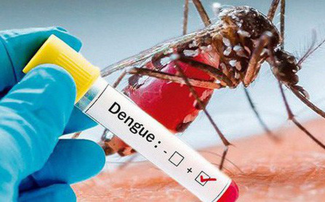 Bệnh sốt xuất huyết do vi rút Dengue gây ra 