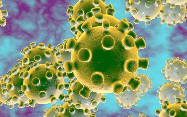 Virus corona có kích thước rất nhỏ khoảng tương đương 0,15 – 0,2 micromet. Nguồn: vn.theasianparent.com