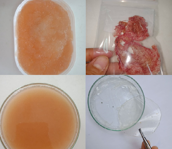Sử dụng phương pháp tách chiết pectin bằng dung môi, màng pectin sau khi được phối trộn và xử lý có màu trắng trong suốt, độ dẻo vừa phải. Ảnh: NVCC.