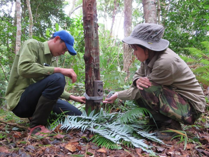 Trang cùng người dân địa phương trong một lần vào rừng tìm kiếm động vật hoang dã ở Kontum. 