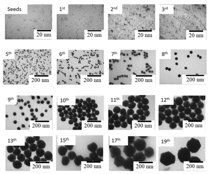 Hạt nano vàng khi soi dưới kính hiển vi điện tử truyền qua (TEM). Ảnh:kienthuc.net.vn